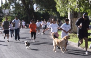 Listos los preparativos de la convivencia Camina corre con tu mascota