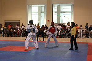 Se prepara equipo de Tae Kwon do para regional de Olimpiada