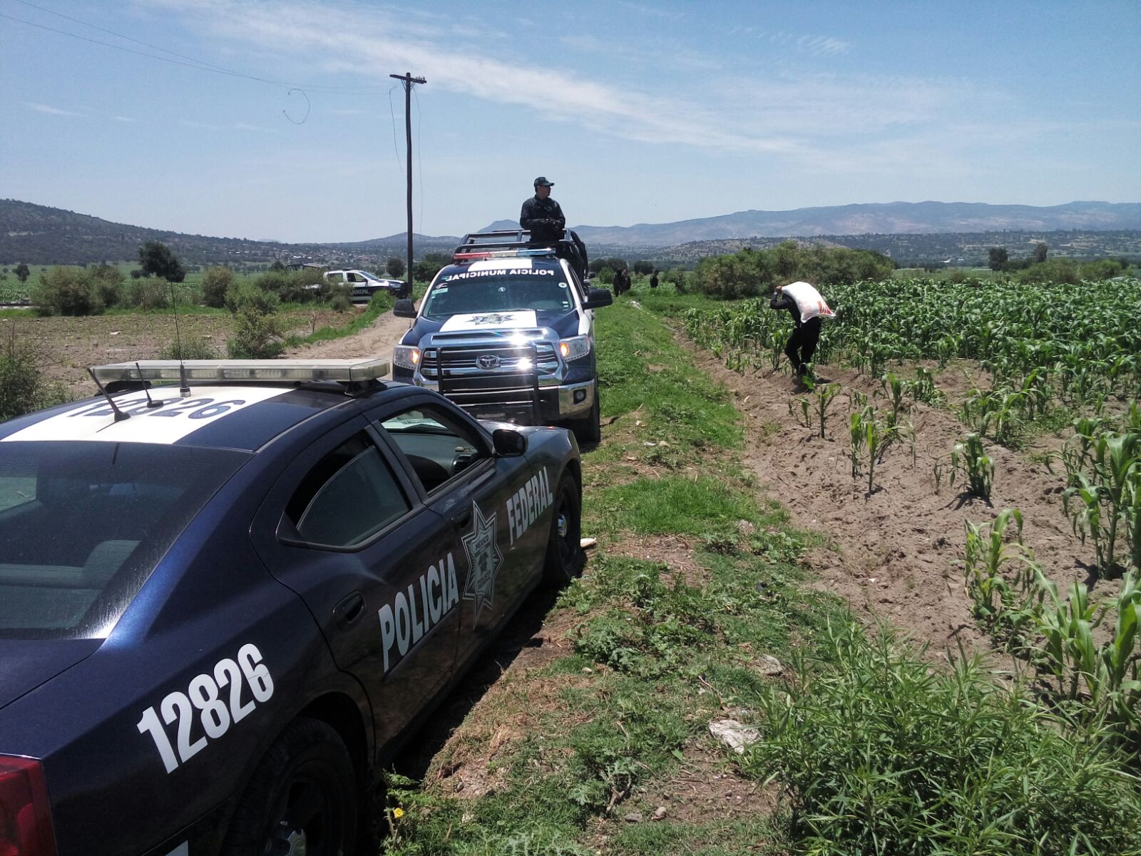 Frustra Policía Federal y Estatal robo a tren 