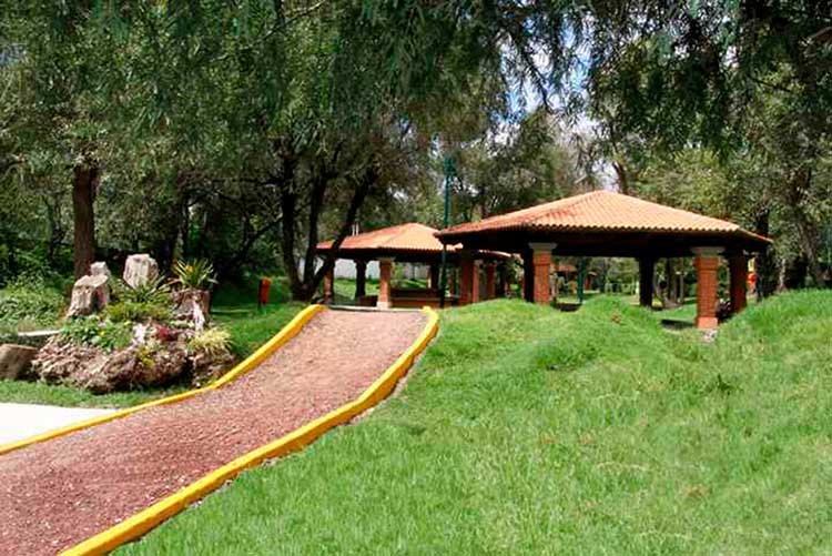 Invita CGE a función de títeres en el jardín botánico