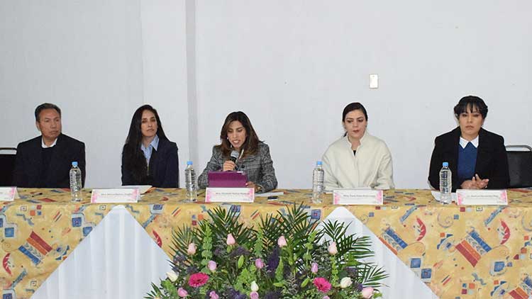 Frena violencia política desarrollo de mujeres en el ámbito público: Piedras