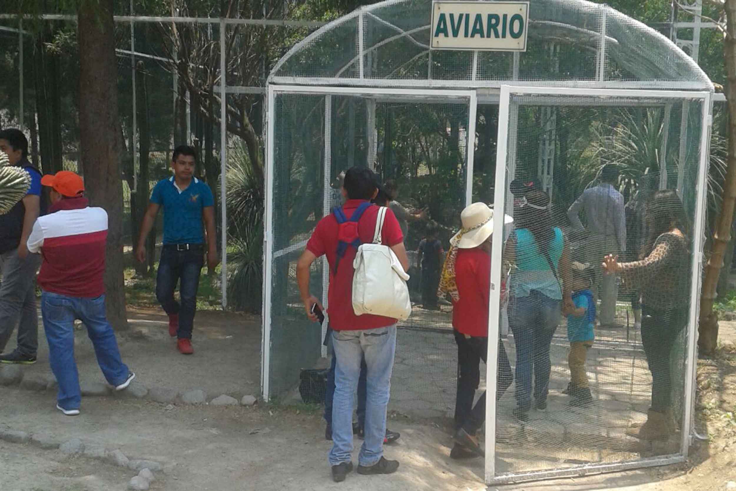 Invita CGE visitar el Aviario del Zoológico del Altiplano